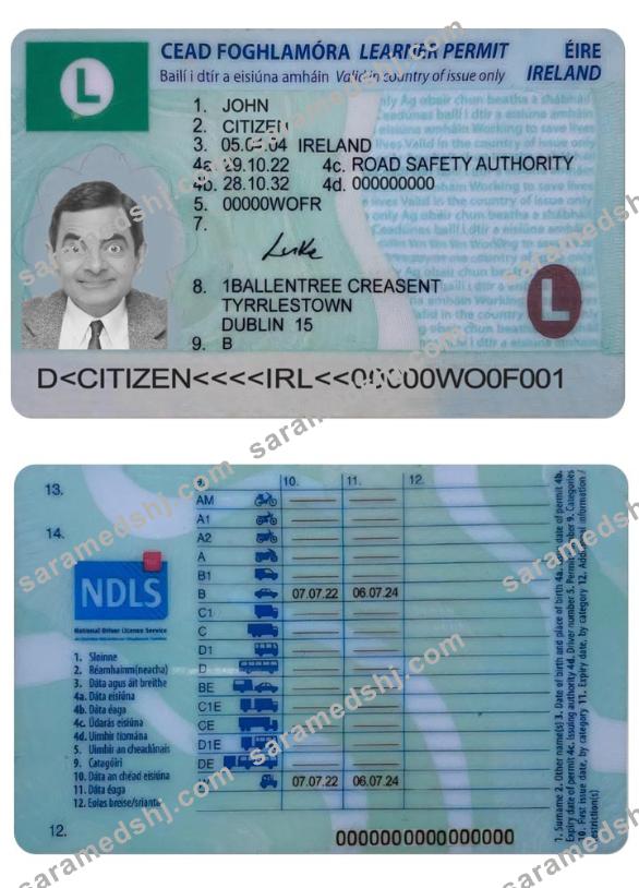 IRELAND driving license (learner permit) 2022- present